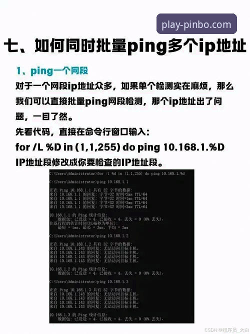 平博体育平台实用指南：新手必备的平博pinbo中文版操作技巧